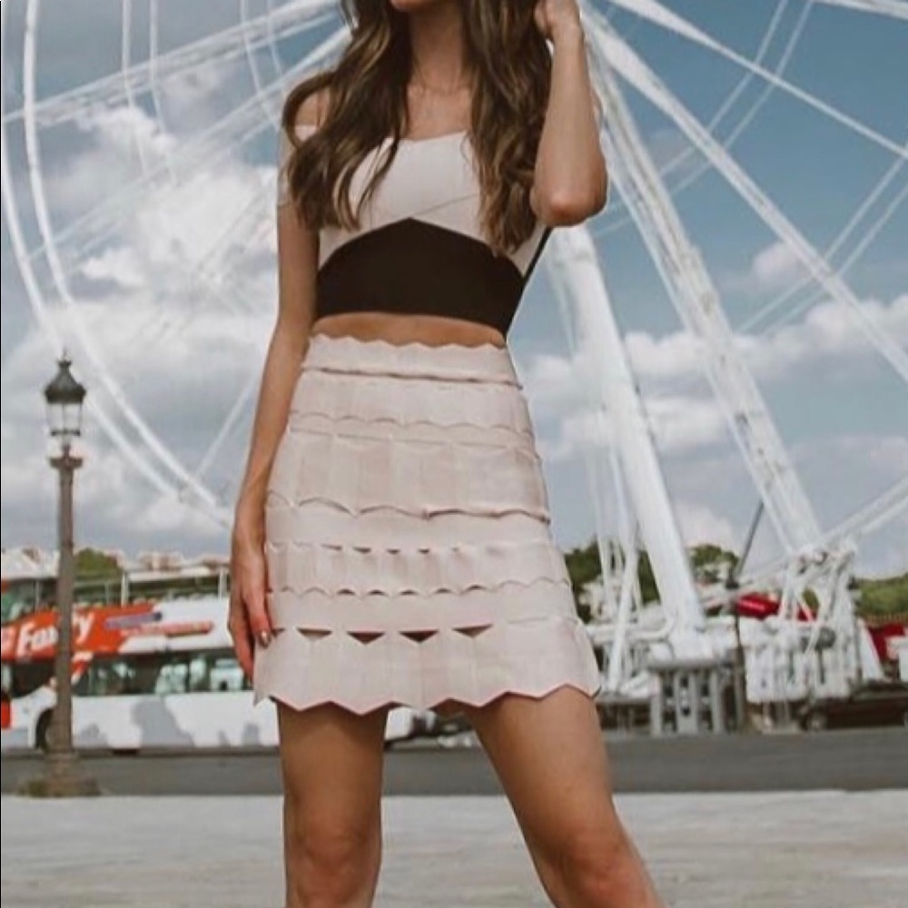 Two Piece Bandage Dress Skirt and Cropped Top